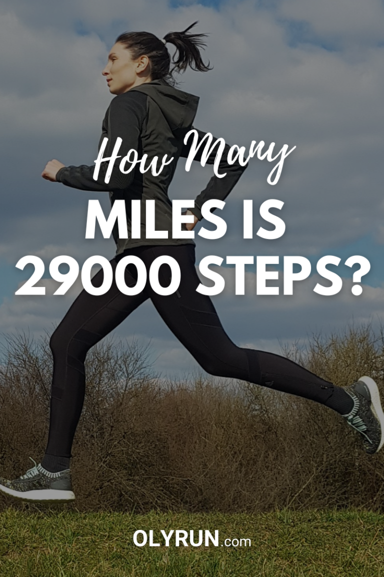 How many miles is 29000 steps