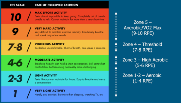 What Is Considered A Long Run? (5 Long Run Examples)